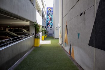 Shaded Dog Run